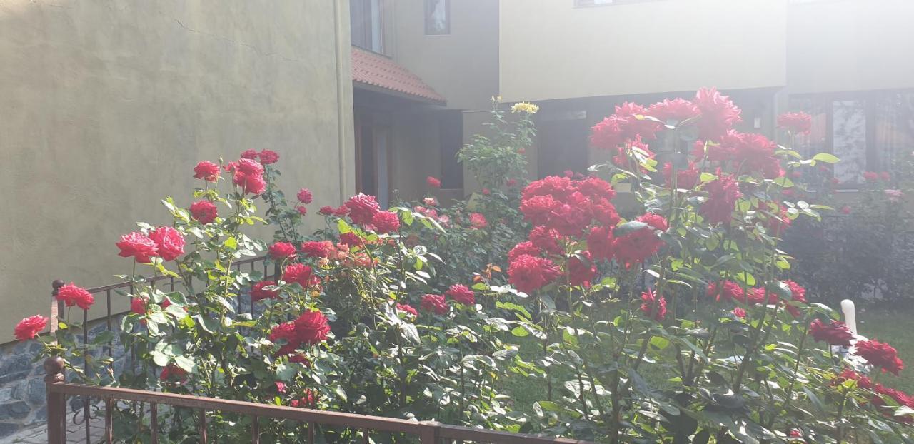 Villa Mugur Două Mai Kültér fotó