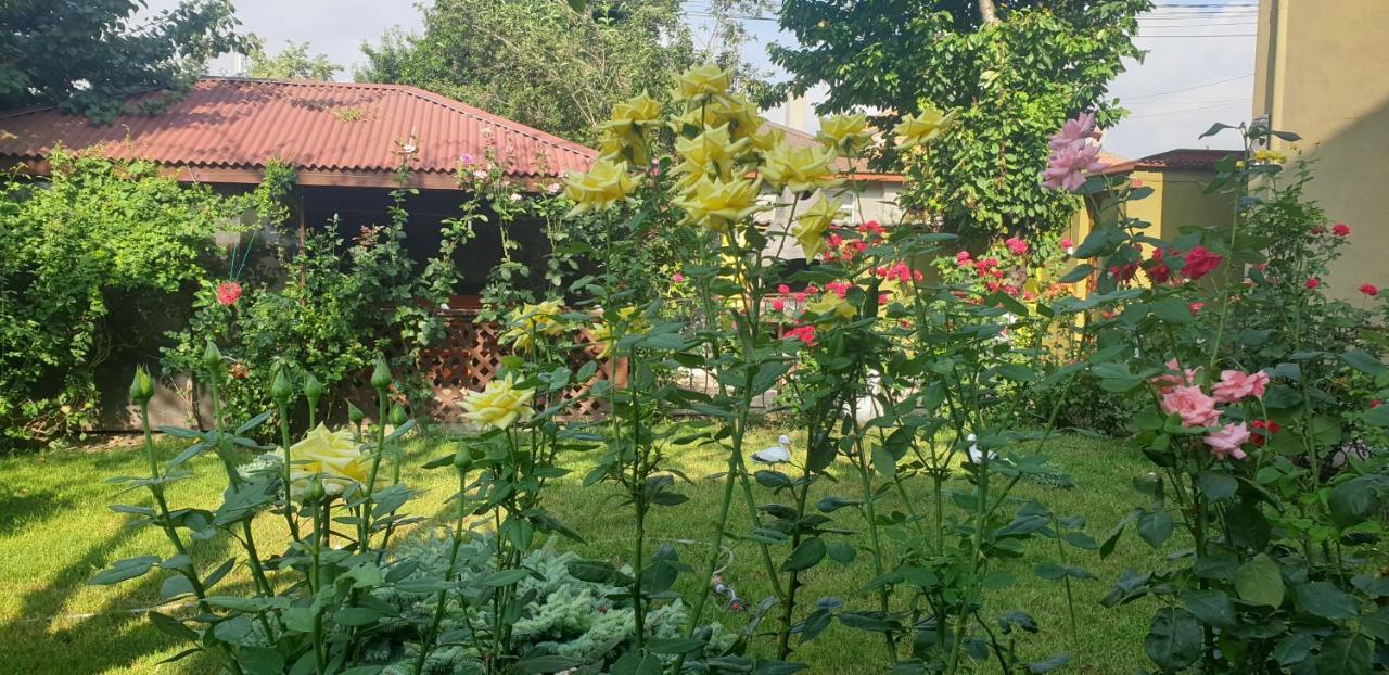 Villa Mugur Două Mai Kültér fotó